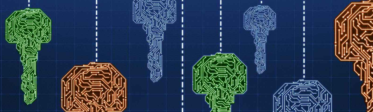 Introducing NI-DKG: A Non-Interactive, zkSNARK based Distributed Key Generation Protocol