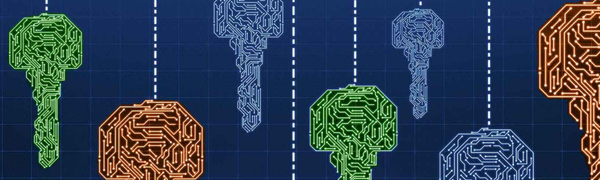 Introducing NI-DKG: A Non-Interactive, zkSNARK based Distributed Key Generation Protocol